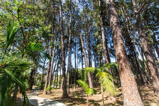 Área comum de casa de condomínio à venda com 4 quartos, 330m² em Residencial Tres (alphaville), Santana de Parnaíba