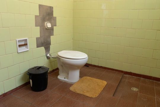 Banheiro de casa para alugar com 2 quartos, 250m² em Vila Monteiro, Piracicaba