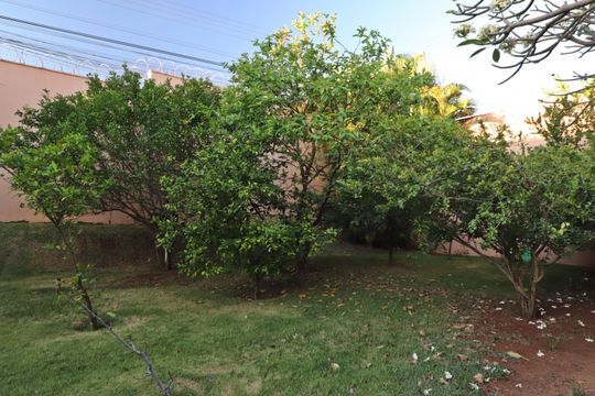 Pomar de casa para alugar com 4 quartos, 673m² em Tabajaras, Uberlândia