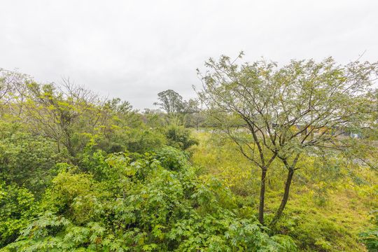 Varanda - Vista de apartamento para alugar com 2 quartos, 53m² em Humaitá, Porto Alegre