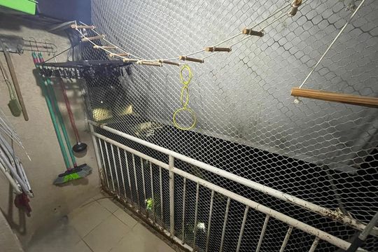 Varanda de apartamento à venda com 2 quartos, 55m² em Parada de Lucas, Rio de Janeiro