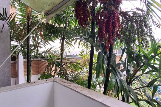 Varanda da Sala de casa para alugar com 4 quartos, 195m² em Itacoatiara, Niterói