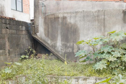 Quintal de casa à venda com 3 quartos, 100m² em Jardim Castro Alves, São Paulo