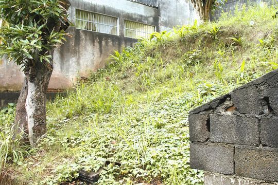 Quintal de casa à venda com 3 quartos, 100m² em Jardim Castro Alves, São Paulo