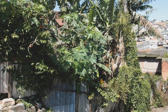 Fachada de casa à venda com 3 quartos, 250m² em Jardim Lucélia, São Paulo
