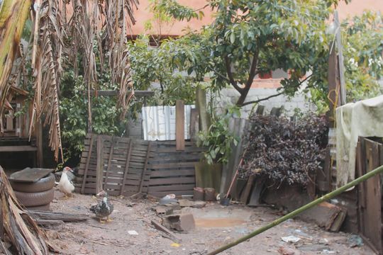 Quintal de casa à venda com 3 quartos, 250m² em Jardim Lucélia, São Paulo