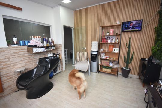 salão de beleza de casa à venda com 4 quartos, 153m² em Vila Maringa, Jundiaí