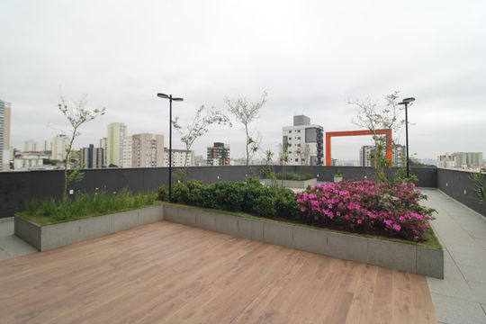 Área Comum de apartamento para alugar com 2 quartos, 50m² em Vila Dom Pedro Ii, São Paulo