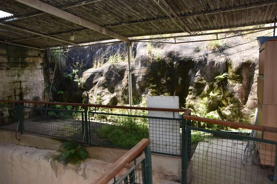 quintal pequeno na frente da Edícula de casa para alugar com 2 quartos, 110m² em Jardim Esplanada, Jundiaí