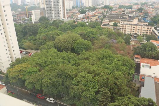 Apartamento para alugar com 1 quarto, 30m² em Vila Santa Clara, São Paulo