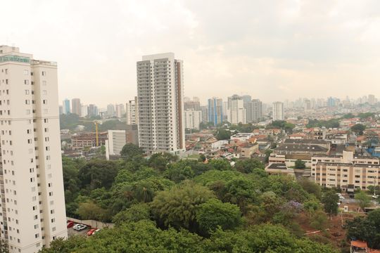 Apartamento para alugar com 1 quarto, 30m² em Vila Santa Clara, São Paulo