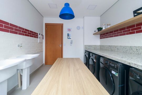 Lavanderia de apartamento para alugar com 1 quarto, 24m² em Vila das Belezas, São Paulo