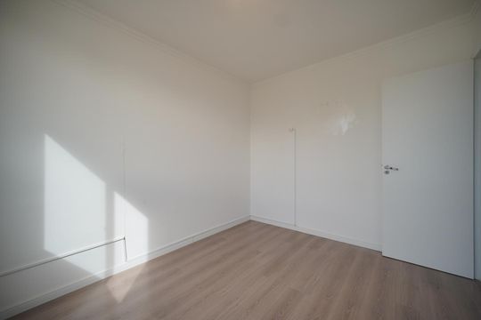 Apartamento para alugar com 2 quartos, 48m² em Roçado, São José