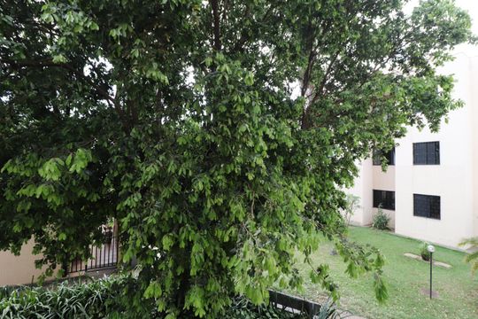 Vista de apartamento para alugar com 3 quartos, 78m² em Marta Helena, Uberlândia