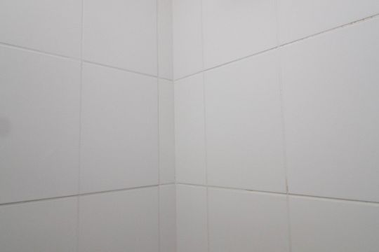 Banheiro de apartamento para alugar com 2 quartos, 42m² em Freguesia do Ó, São Paulo