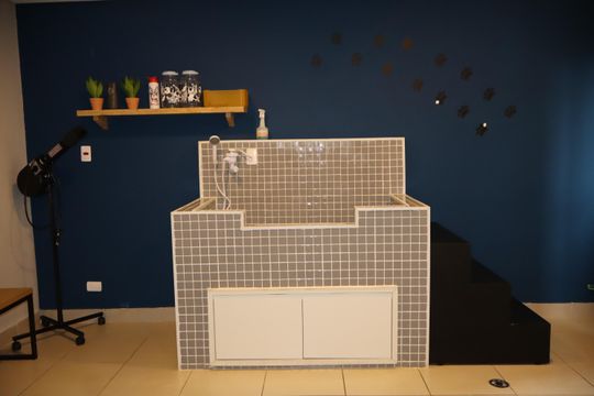 Área comum - Banho Pet de apartamento para alugar com 2 quartos, 36m² em Vila Ivone, São Paulo