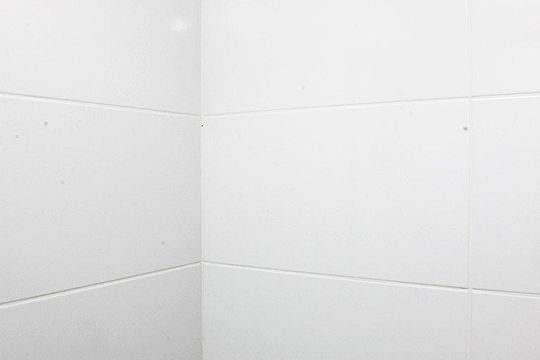 Banheiro de apartamento para alugar com 2 quartos, 54m² em Farroupilha, Porto Alegre