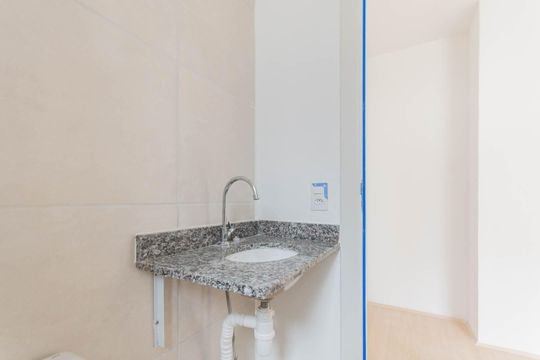 Banheiro da Suíte de apartamento para alugar com 2 quartos, 53m² em Santo Cristo, Rio de Janeiro