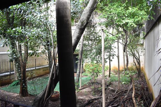 Quintal de casa à venda com 4 quartos, 234m² em Vila da Saúde, São Paulo