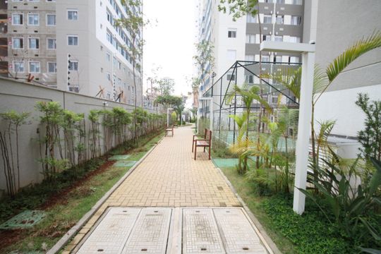 Área comum de apartamento para alugar com 2 quartos, 50m² em Cambuci, São Paulo