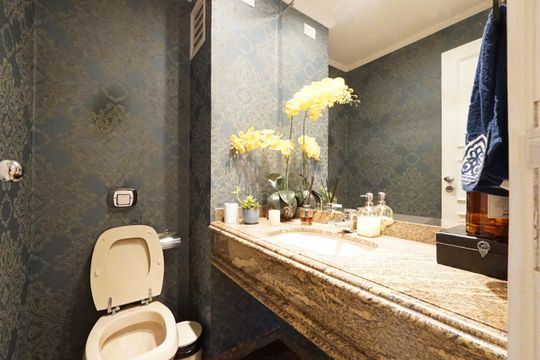 Lavabo de apartamento para alugar com 3 quartos, 240m² em Aclimação, São Paulo