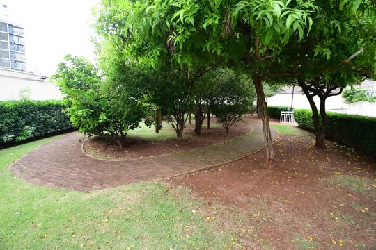 Área comum de apartamento para alugar com 2 quartos, 49m² em Vila Industrial (campinas), Campinas