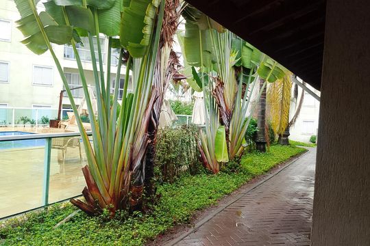 Área comum de apartamento para alugar com 2 quartos, 50m² em Jardim Santa Izabel, Cotia