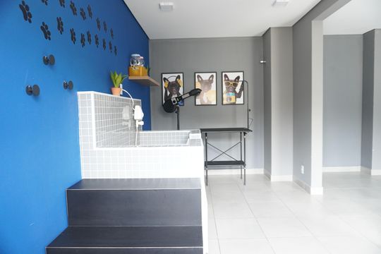 Apartamento à venda com 2 quartos, 34m² em Vila Carmosina, São Paulo
