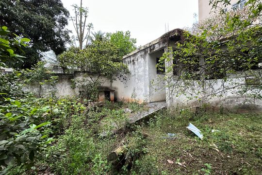 Quintal de casa para alugar com 3 quartos, 660m² em Osvaldo Cruz, Rio de Janeiro