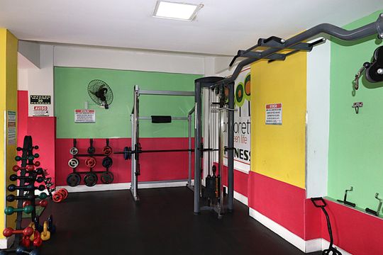 Área comum - Academia de apartamento para alugar com 3 quartos, 68m² em Jardim Carvalho, Porto Alegre