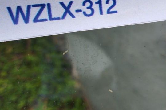 placa instalada WZLX-312 de apartamento à venda com 2 quartos, 145m² em Graça, Belo Horizonte