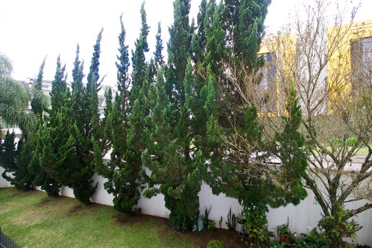 Quarto 2 - Vista de apartamento à venda com 3 quartos, 79m² em Campina do Siqueira, Curitiba