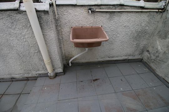 Terraço - Área de serviço de apartamento para alugar com 2 quartos, 50m² em Olaria, Rio de Janeiro