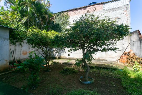 Quintal  de casa para alugar com 3 quartos, 300m² em Parque Santa Rita, São Paulo