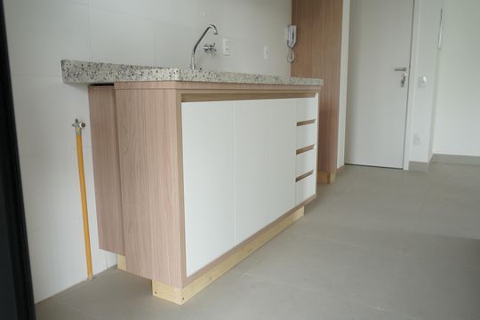 Cozinha de apartamento para alugar com 2 quartos, 48m² em Vila Gomes Cardim, São Paulo