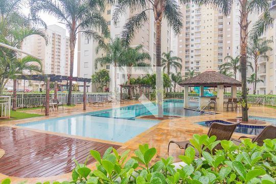 Área comum - Piscina de apartamento para alugar com 2 quartos, 66m² em Jardim Santa Eudoxia, Campinas