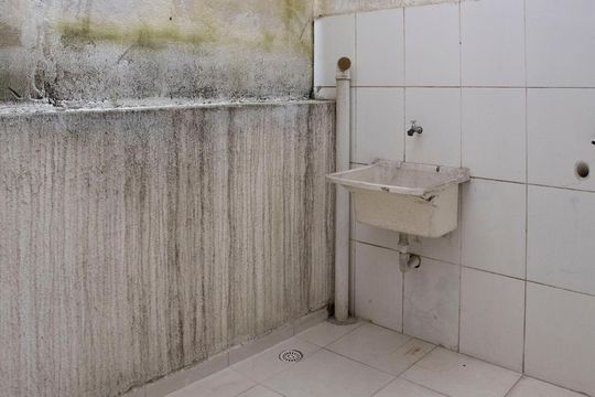 Área de Serviço de casa para alugar com 2 quartos, 60m² em Jardim Nossa Senhora do Carmo, São Paulo