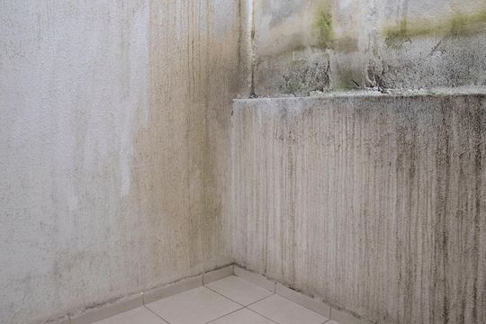 Área de Serviço de casa para alugar com 2 quartos, 60m² em Jardim Nossa Senhora do Carmo, São Paulo