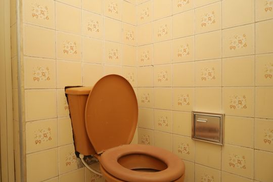 Banheiro  de apartamento para alugar com 2 quartos, 56m² em Itaquera, São Paulo