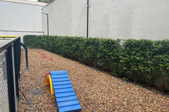 Espaço Pet  de kitnet/studio à venda com 1 quarto, 50m² em Brás, São Paulo