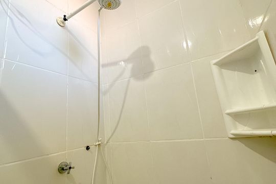 Banheiro de apartamento para alugar com 2 quartos, 70m² em Cachoeira do Bom Jesus, Florianópolis