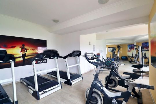 Academia de apartamento para alugar com 2 quartos, 52m² em Vila Príncipe de Gales, Santo André