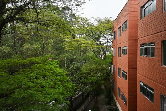 Vista do Quarto 2 de apartamento para alugar com 2 quartos, 58m² em Jardim Umuarama, São Paulo