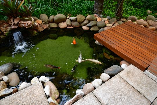 Área comum de apartamento para alugar com 3 quartos, 98m² em Parque das Flores, Campinas