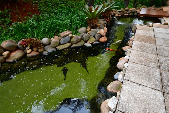 Área comum de apartamento para alugar com 3 quartos, 98m² em Parque das Flores, Campinas