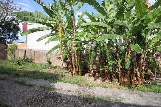 Quintal de casa para alugar com 2 quartos, 80m² em Novo Riacho, Contagem