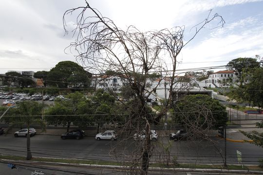 Vista de apartamento à venda com 3 quartos, 165m² em Coração Eucarístico, Belo Horizonte