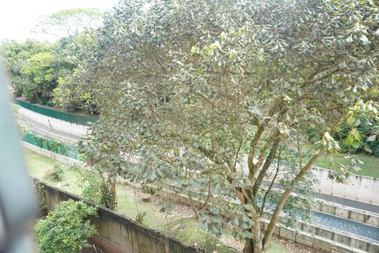 Apartamento à venda com 2 quartos, 56m² em Jardim Miriam, São Paulo