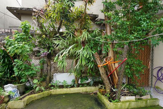 Quintal de casa para alugar com 2 quartos, 74m² em Jardim São Bento Novo, Embu das Artes