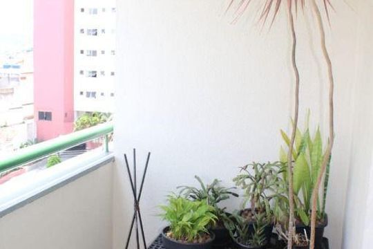 Apartamento à venda com 2 quartos, 60m² em Mandaqui, São Paulo